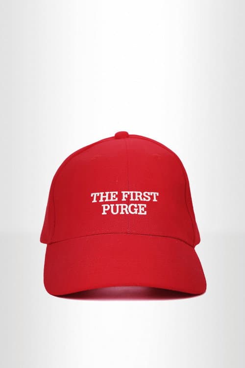 The First Purge